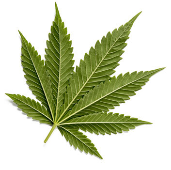 CBD Merchant Account